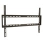 Ewent EW1503 177,8 cm (70") Negro
