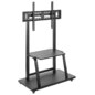 AISENS FT100E-231 soporte para TV 2,54 m (100")