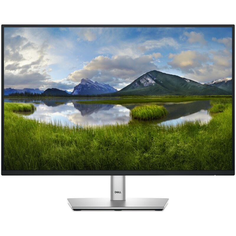 DELL Pro Plus P2425 pantalla para PC 61,1 cm (24.1") 1920 x 1200 Pixeles WUXGA LCD Negro