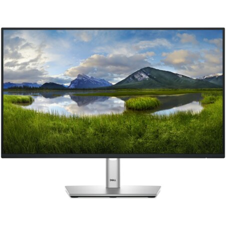 DELL Pro Plus P2425HE pantalla para PC 60,5 cm (23.8") 1920 x 1080 Pixeles Full HD LCD Negro