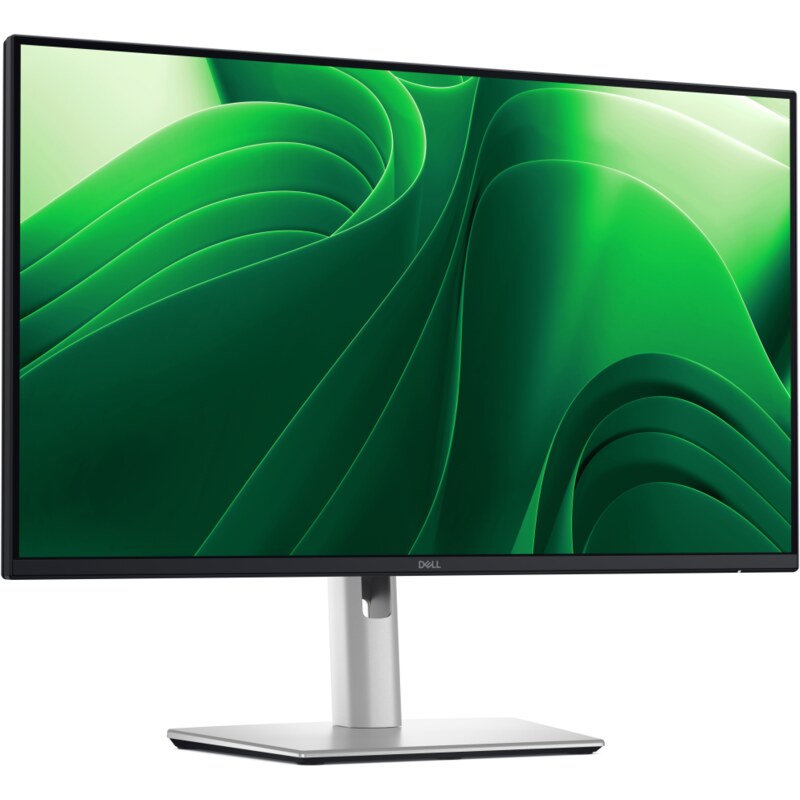 DELL Pro Plus P2425D pantalla para PC 61 cm (24") 2560 x 1440 Pixeles Quad HD LCD Negro, Plata