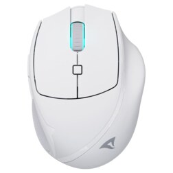 Sharkoon OfficePal M25W ratón Juego mano derecha RF Wireless + USB Type-C Óptico 4000 DPI