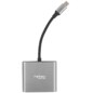 NATEC Fowler Mini USB 2.0 Type-C Gris