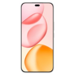 Honor 400 Pro 17 cm (6.7") MagicOS 9.0 5G 12 GB 512 GB 5300 mAh Gris