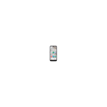 Doro 8100 15,5 cm (6.1") SIM única Android 11 Go Edition 4G USB Tipo C 2 GB 32 GB 3000 mAh Gris