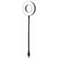 Gembird NL-LEDRING-01 aparato USB Negro, Blanco Lámpara