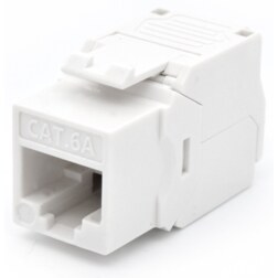 WP WPC-KEY-6AUP-TL/W módulo de conector de red