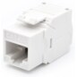 WP WPC-KEY-6AUP-TL/W módulo de conector de red
