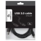 Gembird CCP-USB2-AMCM-10 cable USB USB 2.0 3 m USB A USB C 0,48 Gbit/s Negro