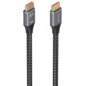 AISENS A158-0903 cable DisplayPort 2 m