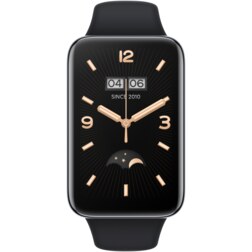 Xiaomi Smart Band 7 Pro AMOLED Pulsera de actividad 4,17 cm (1.64") Negro