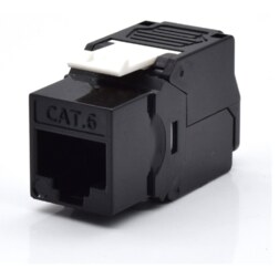 WP WPC-KEY-6UP-TL/BL módulo de conector de red