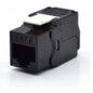 WP WPC-KEY-6UP-TL/BL módulo de conector de red