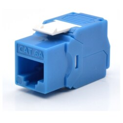 WP WPC-KEY-6AUP-TL/B módulo de conector de red
