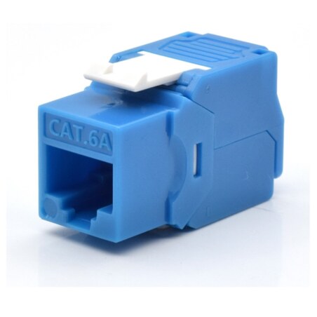 WP WPC-KEY-6AUP-TL/B módulo de conector de red