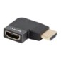 Lanberg AD-HDMI-10 adaptador de cable de vídeo HDMI tipo A (Estándar) Negro, Plata