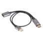Lanberg AD-HD-DP-02 adaptador de cable de vídeo 0,2 m HDMI tipo A (Estándar) DisplayPort Plata