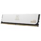 Team Group CTCWD532G6000HC38GDC01 módulo de memoria 32 GB 2 x 16 GB DDR5 48000 MT/s