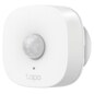 TP-Link Tapo T100 Inalámbrico Techo/pared Blanco