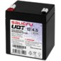 Salicru UBT 12/4,5