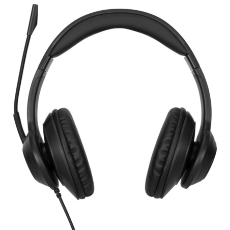 Targus AEH102GL auricular y casco Auriculares Alámbrico Diadema Llamadas/Música USB tipo A Negro